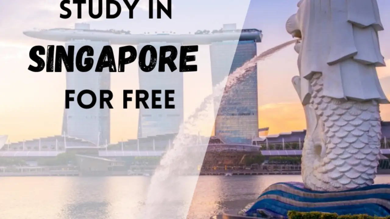 How to Study in Singapore for Free (9 Steps)