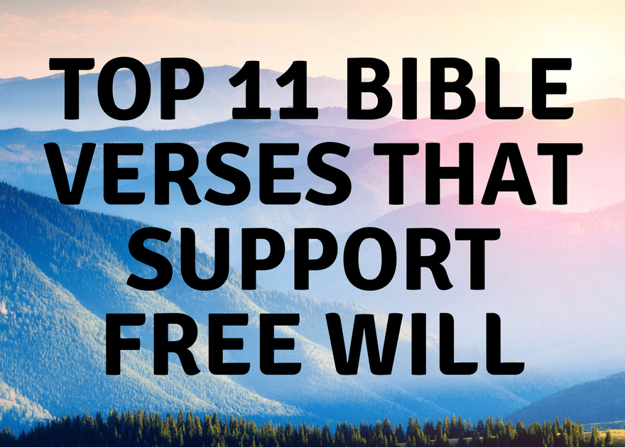 Top Verses In The Bible About Free Will