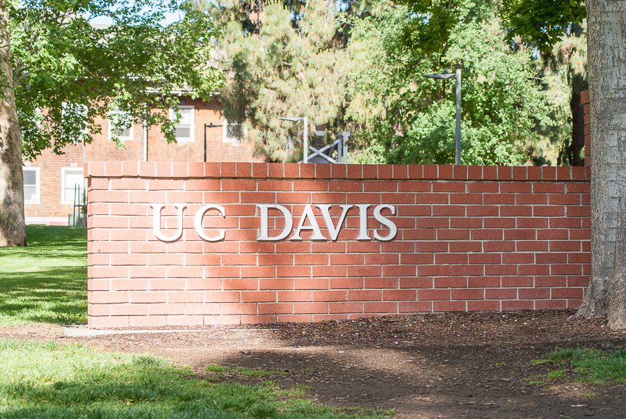 UC Davis Acceptance Rate by Major 2024