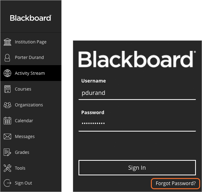 Blackboard Login MDC: How to Login and Recover MDC Blackboard Password